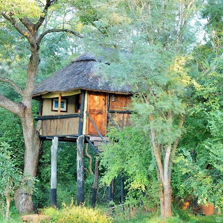 Ivory Lodge Dete Kültér fotó