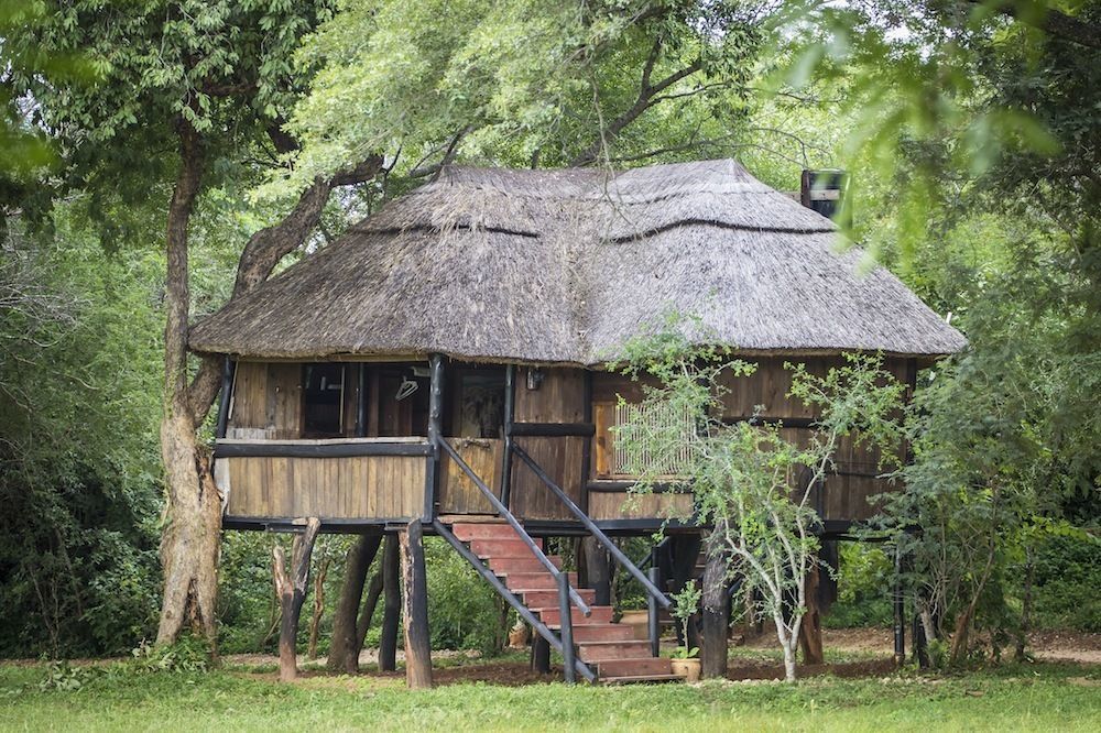 Ivory Lodge Dete Kültér fotó