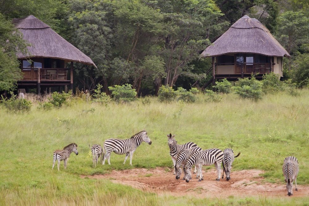 Ivory Lodge Dete Kültér fotó