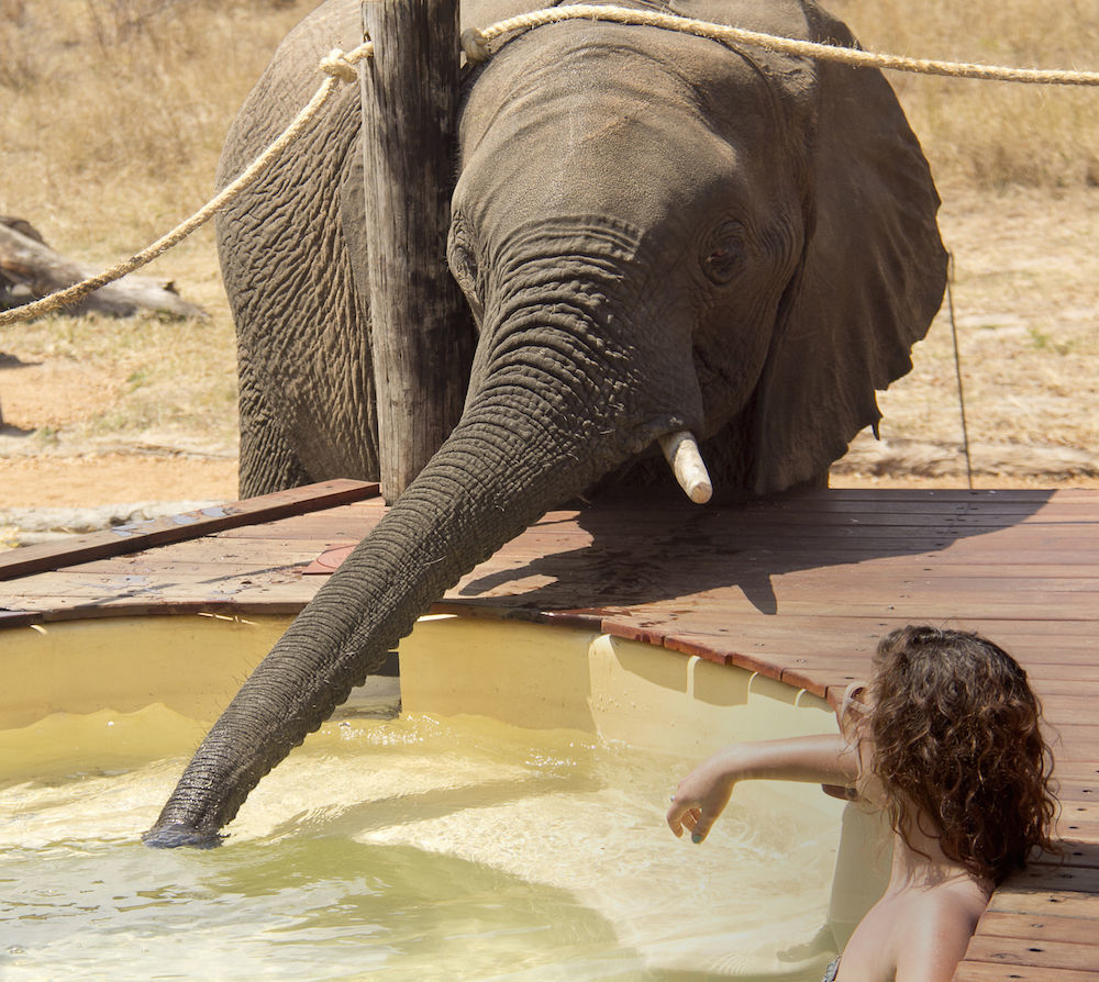 Ivory Lodge Dete Kültér fotó