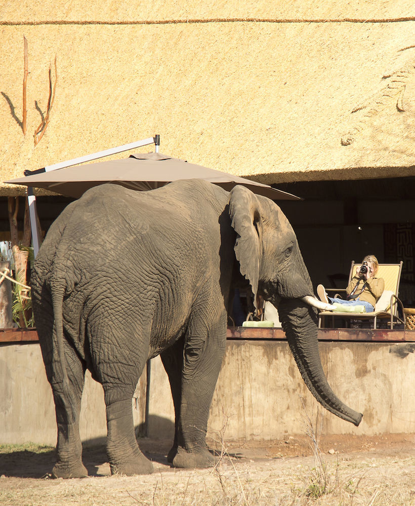 Ivory Lodge Dete Kültér fotó