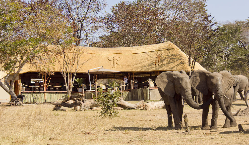 Ivory Lodge Dete Kültér fotó